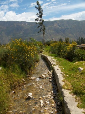 a46.jpg