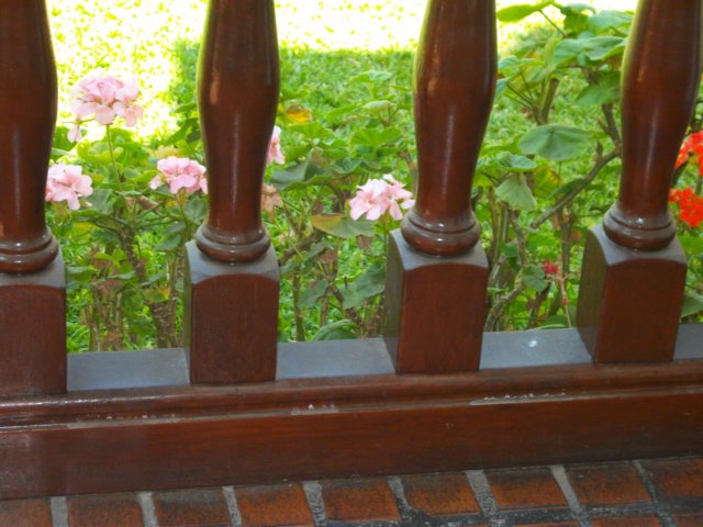 imgp1485.jpg