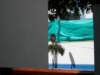 imgp1488_small.jpg